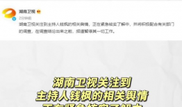 娱乐圈吃瓜的词汇,揭秘明星幕后故事